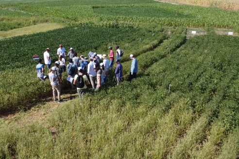 Modulo de Imnovación Brevant - Campo Ramón Roldán de la FCA UNER - Oro Verde, E.Ríos