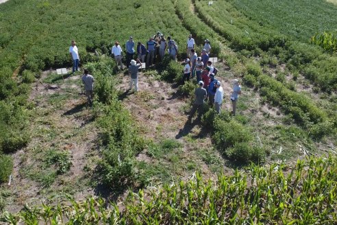 Modulo de Imnovación Brevant - Campo Ramón Roldán de la FCA UNER - Oro Verde, E.Ríos