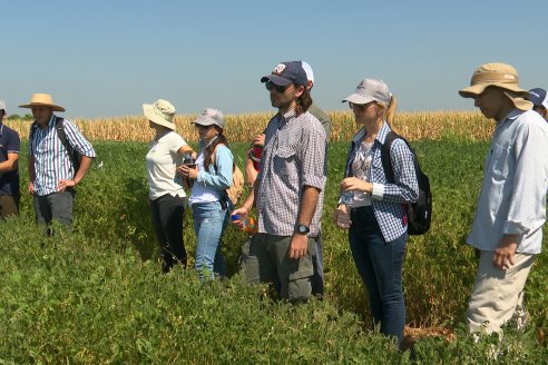 Modulo de Imnovación Brevant - Campo Ramón Roldán de la FCA UNER - Oro Verde, E.Ríos