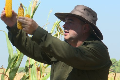 Modulo de Imnovación Brevant - Campo Ramón Roldán de la FCA UNER - Oro Verde, E.Ríos