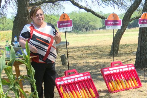 Modulo de Imnovación Brevant - Campo Ramón Roldán de la FCA UNER - Oro Verde, E.Ríos