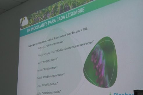 Jornada de Capacitación de Manejo - Vicia Villosa Asasubi INTA - Bioceres Semillas