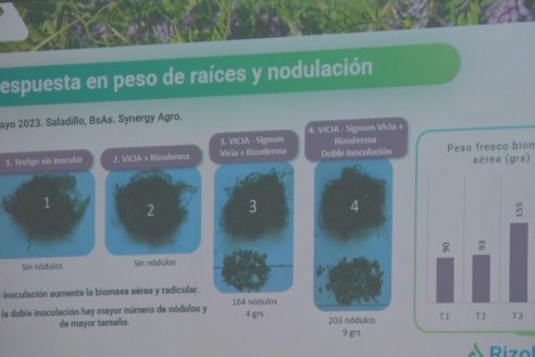 Jornada de Capacitación de Manejo - Vicia Villosa Asasubi INTA - Bioceres Semillas