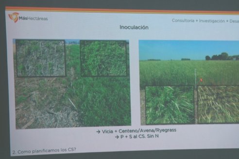 Jornada de Capacitación de Manejo - Vicia Villosa Asasubi INTA - Bioceres Semillas