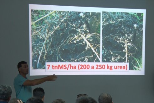 Jornada de Capacitación de Manejo - Vicia Villosa Asasubi INTA - Bioceres Semillas