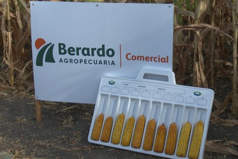 Jornada Técnica Maiz a Campo de Berardo Agropecuaria - Urdinarrain - Entre Ríos