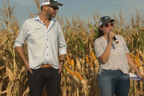 Jornada Técnica Maiz a Campo de Berardo Agropecuaria - Urdinarrain - Entre Ríos