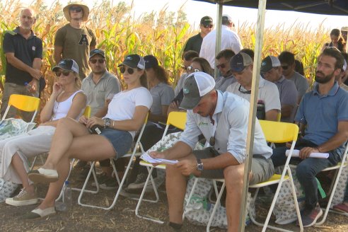 Jornada Técnica Maiz a Campo de Berardo Agropecuaria - Urdinarrain - Entre Ríos