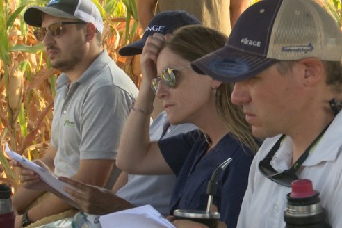 Jornada Técnica Maiz a Campo de Berardo Agropecuaria - Urdinarrain - Entre Ríos