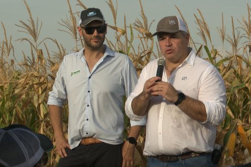 Jornada Técnica Maiz a Campo de Berardo Agropecuaria - Urdinarrain - Entre Ríos