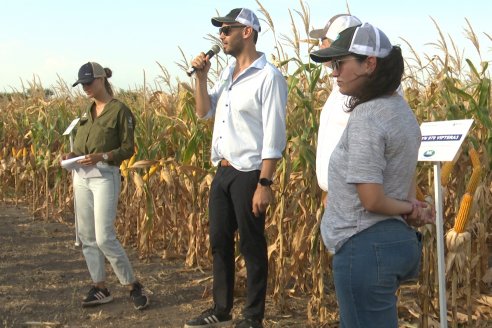 Jornada Técnica Maiz a Campo de Berardo Agropecuaria - Urdinarrain - Entre Ríos