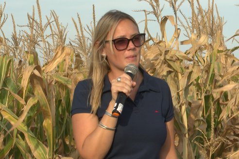 Jornada Técnica Maiz a Campo de Berardo Agropecuaria - Urdinarrain - Entre Ríos