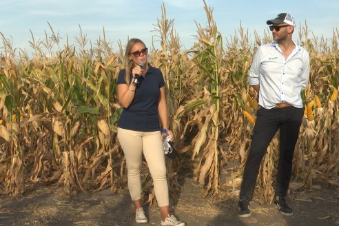 Jornada Técnica Maiz a Campo de Berardo Agropecuaria - Urdinarrain - Entre Ríos