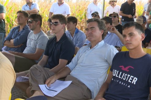 Jornada Técnica Maiz a Campo de Berardo Agropecuaria - Urdinarrain - Entre Ríos