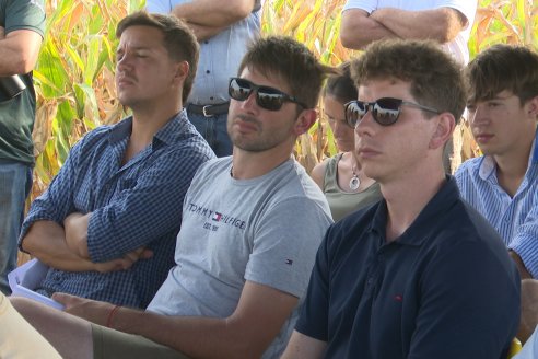 Jornada Técnica Maiz a Campo de Berardo Agropecuaria - Urdinarrain - Entre Ríos