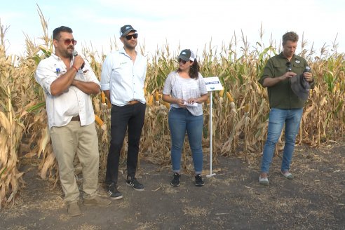 Jornada Técnica Maiz a Campo de Berardo Agropecuaria - Urdinarrain - Entre Ríos