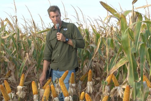 Jornada Técnica Maiz a Campo de Berardo Agropecuaria - Urdinarrain - Entre Ríos