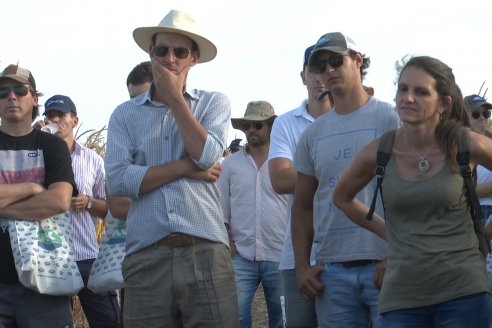 Jornada Técnica Maiz a Campo de Berardo Agropecuaria - Urdinarrain - Entre Ríos