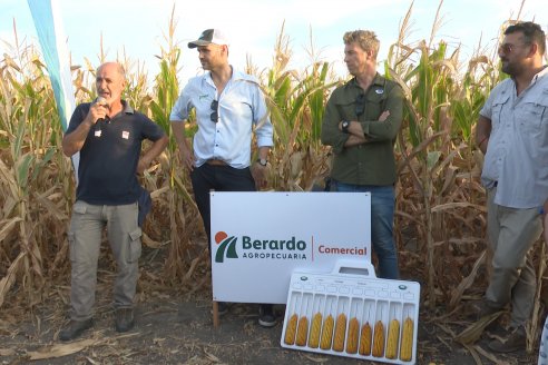 Jornada Técnica Maiz a Campo de Berardo Agropecuaria - Urdinarrain - Entre Ríos