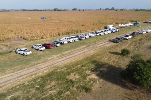 Jornada Técnica Maiz a Campo de Berardo Agropecuaria - Urdinarrain - Entre Ríos