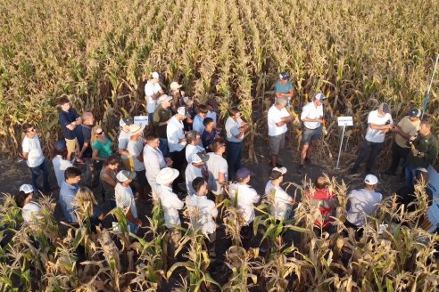 Jornada Técnica Maiz a Campo de Berardo Agropecuaria - Urdinarrain - Entre Ríos