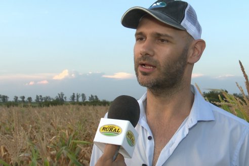 Jornada Técnica Maiz a Campo de Berardo Agropecuaria - Urdinarrain - Entre Ríos