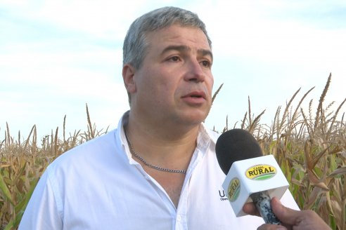 Jornada Técnica Maiz a Campo de Berardo Agropecuaria - Urdinarrain - Entre Ríos