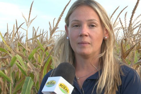 Jornada Técnica Maiz a Campo de Berardo Agropecuaria - Urdinarrain - Entre Ríos