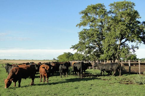 Estancia San Esteban concretó su primera declaración ambiental