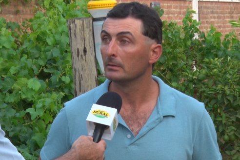 Víctor Veik: “Intensificar en suelos vertisoles es negocio, y cuando las cosas son negocio es más fácil”
