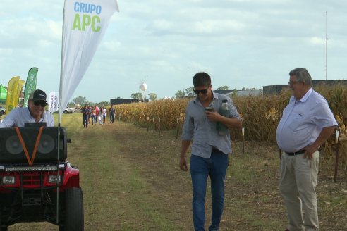 Campo Lider Nidera - Experiencia AGRINSUR - Gilbert, Entre Ríos