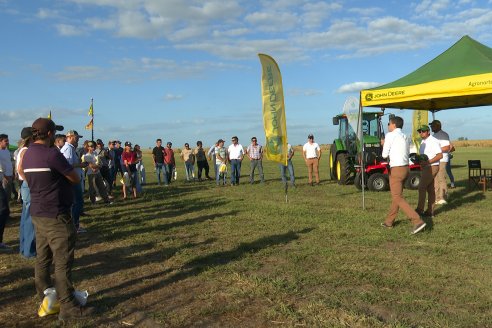 Campo Lider Nidera - Experiencia AGRINSUR - Gilbert, Entre Ríos