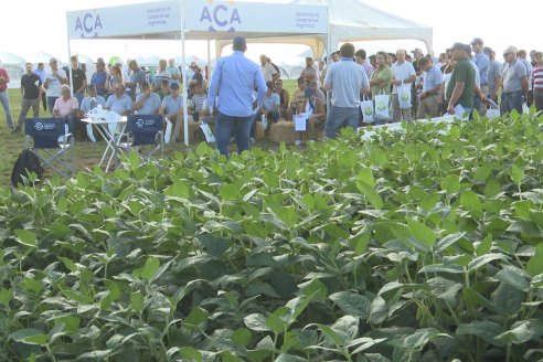 A Campo Abierto 2024  -  La propuesta de valor más integral del campo argentino - Rojas, Buenos Aires