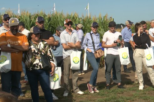 A Campo Abierto 2024  -  La propuesta de valor más integral del campo argentino - Rojas, Buenos Aires