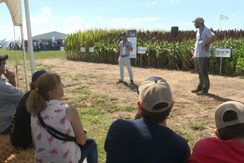 A Campo Abierto 2024  -  La propuesta de valor más integral del campo argentino - Rojas, Buenos Aires