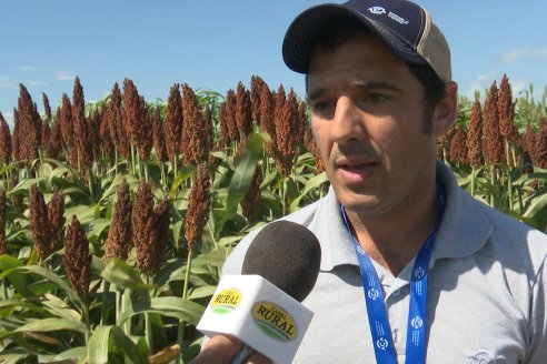 A Campo Abierto 2024  -  La propuesta de valor más integral del campo argentino - Rojas, Buenos Aires