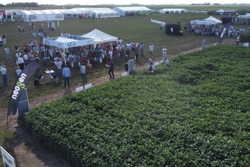 Un millar de productores se sumaron a la jornada de capacitación de la ACA en Rojas, "A Campo Abierto"