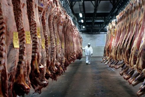 Cuáles son los desafíos para la exportación de carne vacuna en el 2024