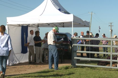 Dia a Campo de Arroz 2024 - Fundación PROARROZ - San Salvador, Entre Ríos