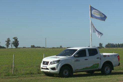 Dia a Campo de Arroz 2024 - Fundación PROARROZ - San Salvador, Entre Ríos