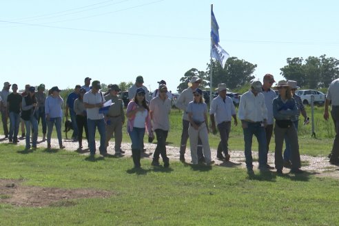 Dia a Campo de Arroz 2024 - Fundación PROARROZ - San Salvador, Entre Ríos