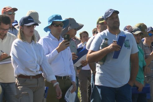 Dia a Campo de Arroz 2024 - Fundación PROARROZ - San Salvador, Entre Ríos