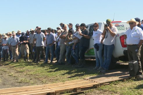 Dia a Campo de Arroz 2024 - Fundación PROARROZ - San Salvador, Entre Ríos