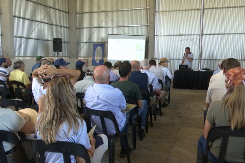 Dia a Campo de Arroz 2024 - Fundación PROARROZ - San Salvador, Entre Ríos