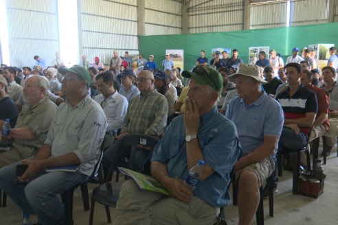 Dia a Campo de Arroz 2024 - Fundación PROARROZ - San Salvador, Entre Ríos