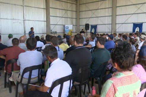 Dia a Campo de Arroz 2024 - Fundación PROARROZ - San Salvador, Entre Ríos