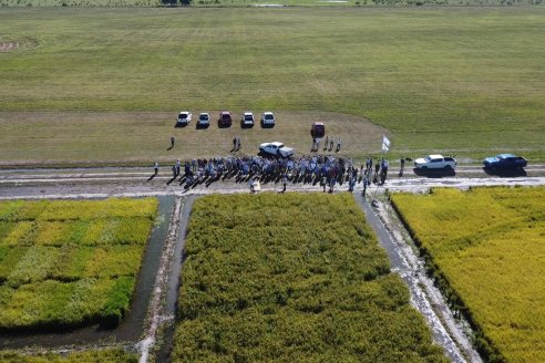 Dia a Campo de Arroz 2024 - Fundación PROARROZ - San Salvador, Entre Ríos