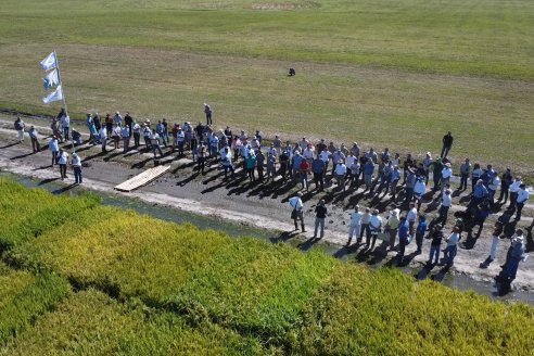 Dia a Campo de Arroz 2024 - Fundación PROARROZ - San Salvador, Entre Ríos