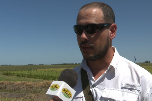 Dia a Campo de Arroz 2024 - Fundación PROARROZ - San Salvador, Entre Ríos