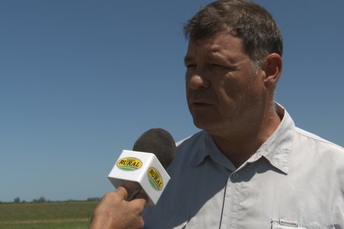 Dia a Campo de Arroz 2024 - Fundación PROARROZ - San Salvador, Entre Ríos